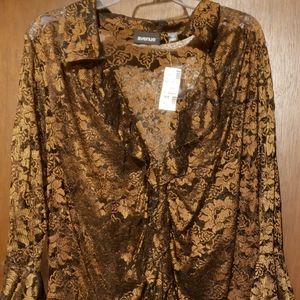 Avenue Women's Plus Sheer Blouse - 18/20